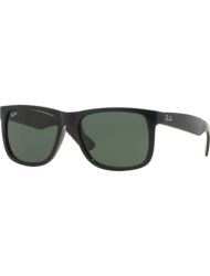 Ray-Ban RB 4165 601/71 54*16 145