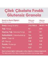 2 Paket Çikolata Çilek Fındık Glutensiz İlave Şekersiz Vegan Granola 250gr