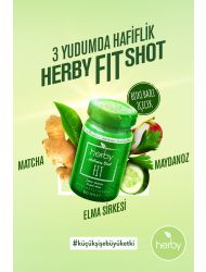 Herby Fit Shot Bitki Bazlı İçecek 60ml x12 adet