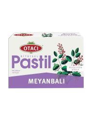 Otacı Meyanbalı Bitkisel Pastil 16 Adet