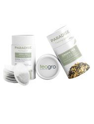 PARADISE Kavun aromalı, ananaslı yeşil çay