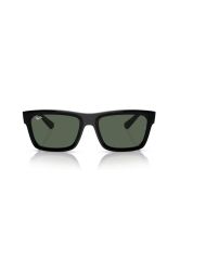 Ray-Ban RB 4396 6677/71 54*20 145