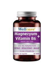 Wellcare Magnezyum Vitamin B6 30 Tablet